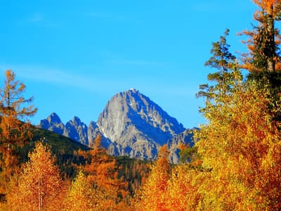 Autumn